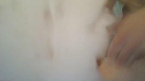 jbossxxx  22-03-2023